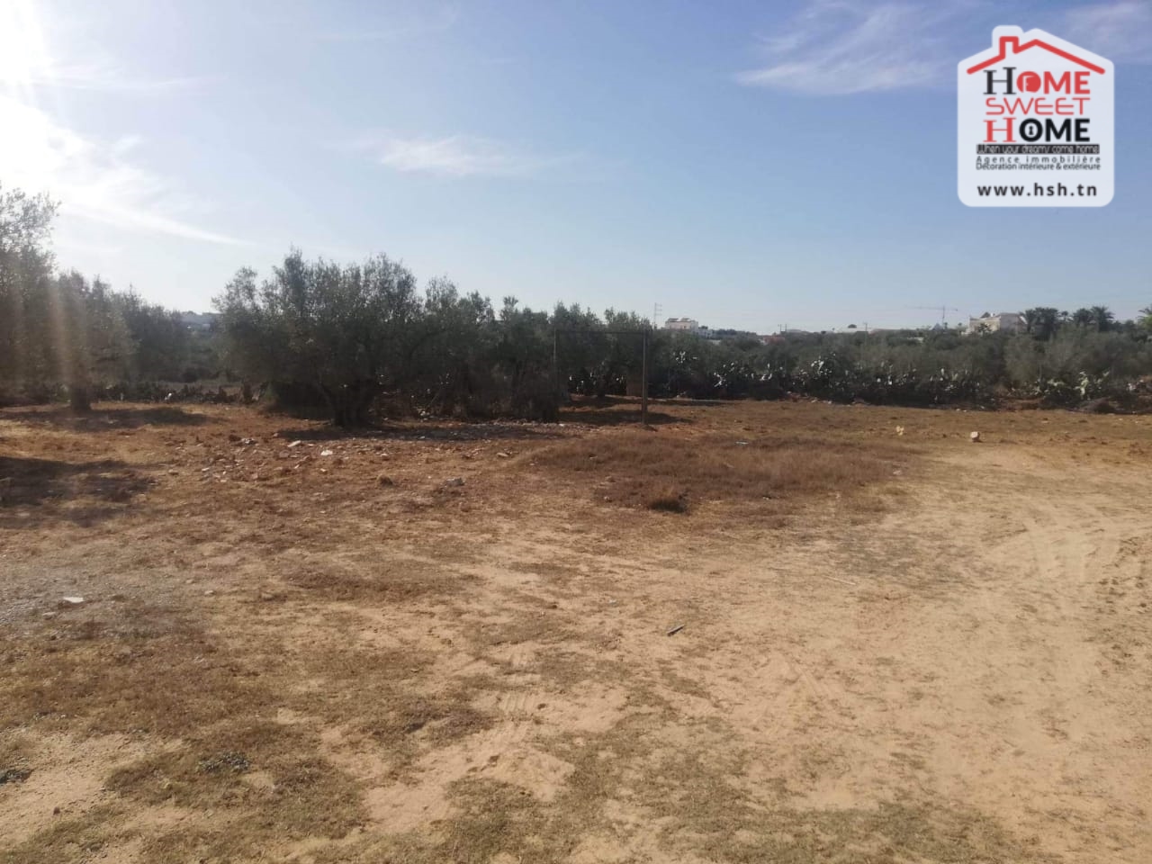 Terrain&nbsp;Terrain nu