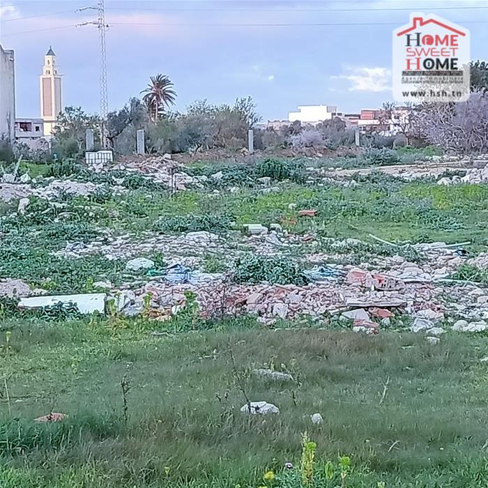 Terrain&nbsp;Terrain nu