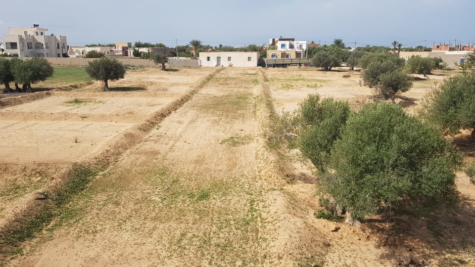 Terrain&nbsp;Terrain nu