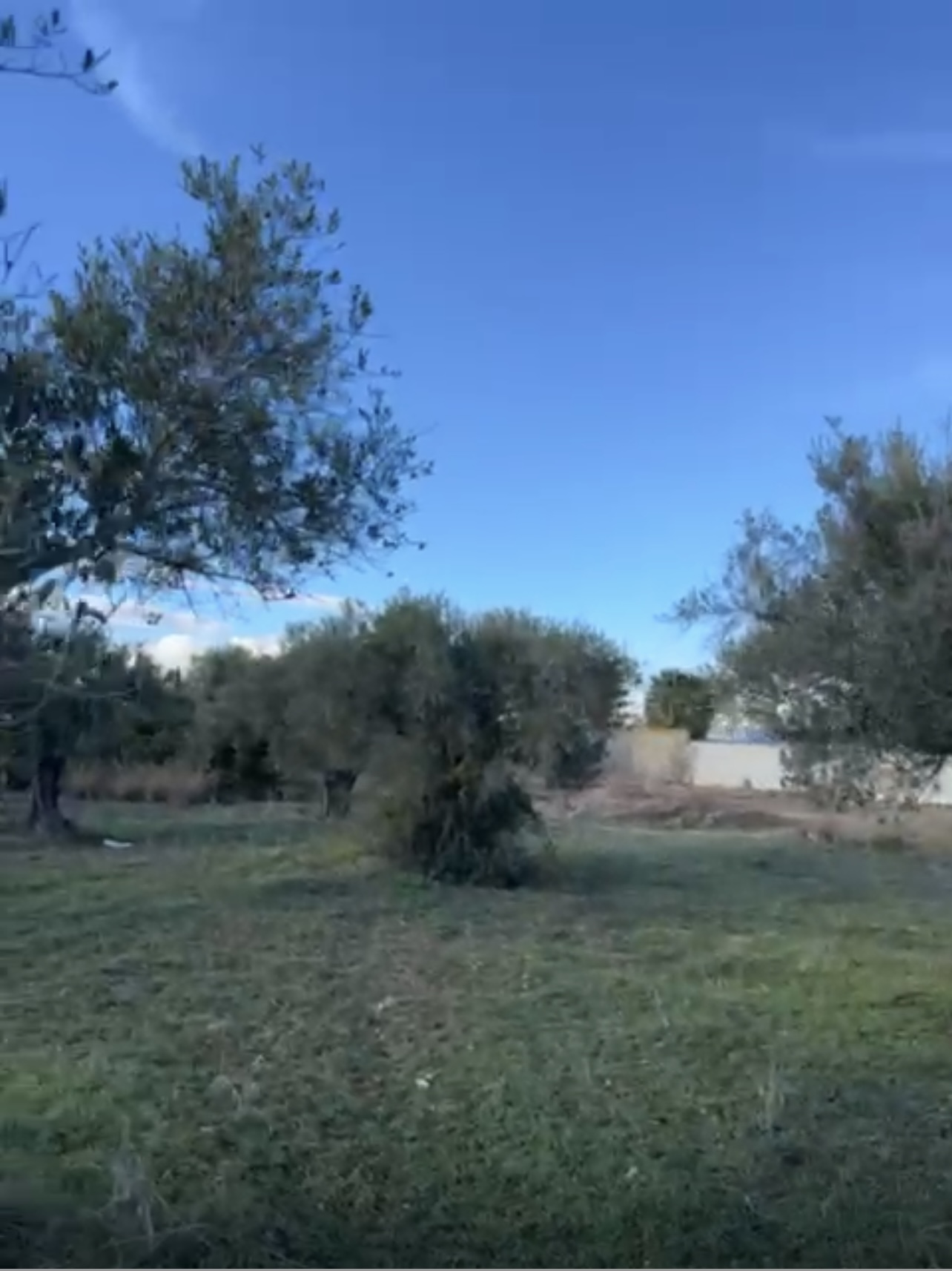 Terrain&nbsp;Terrain agricole