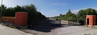 Raoued&nbsp;Cite Des Juges&nbsp;Terrain&nbsp;Terrain nu&nbsp;Flamand rose village titre bleu individuel