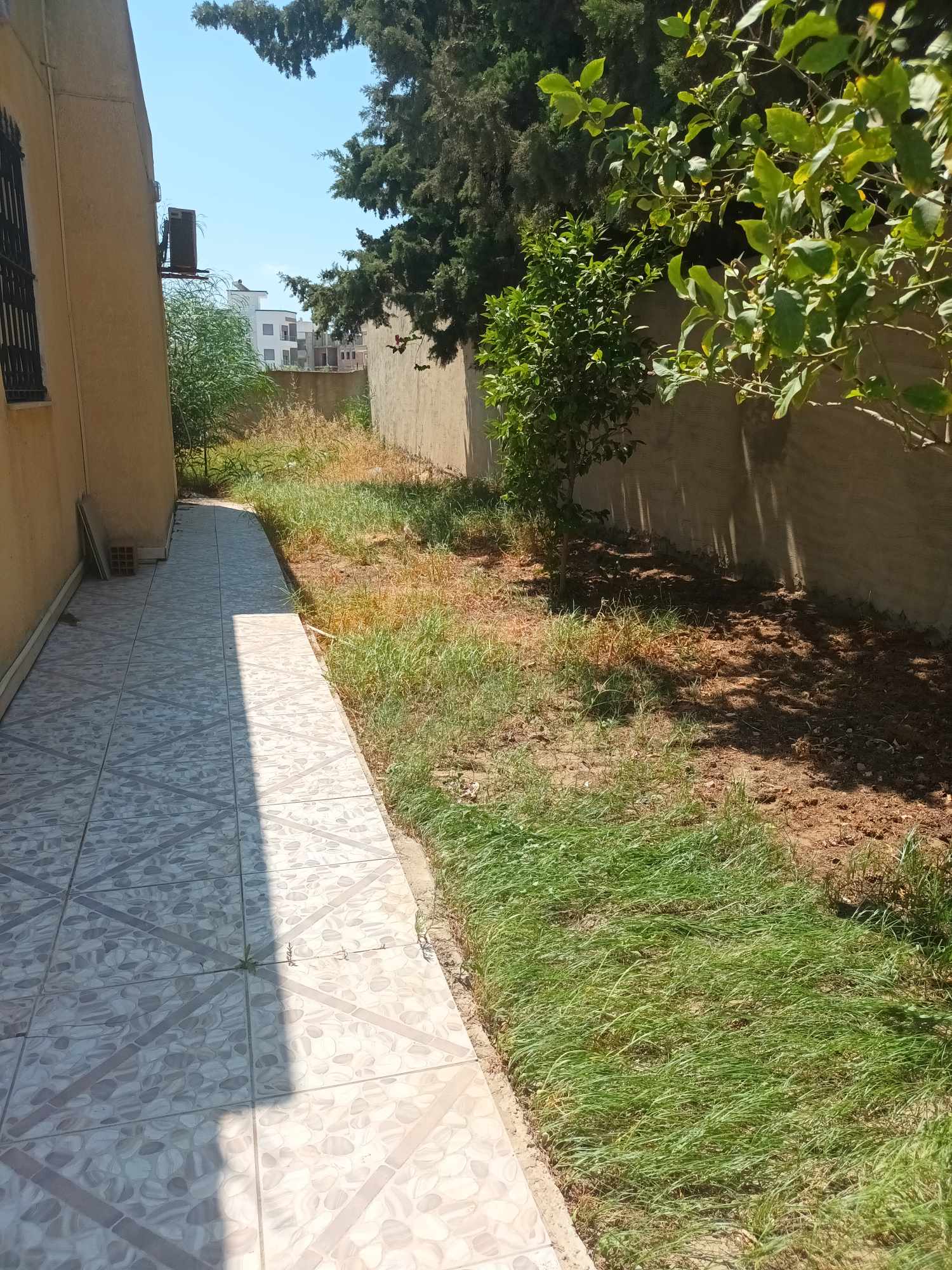 Bizerte Nord&nbsp;Bizerte&nbsp;Location&nbsp;Maisons&nbsp;Maison avec jardin � corniche bizerte
