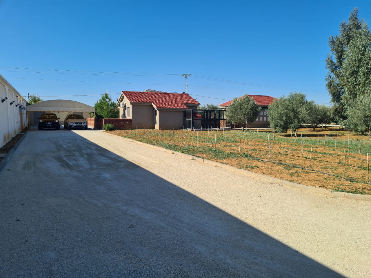 Sidi Thabet&nbsp;Chorfech 2&nbsp;Terrain&nbsp;Terrain agricole&nbsp;Superbe ferme � sidi thabet