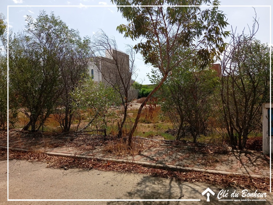 Raoued&nbsp;Raoued&nbsp;Terrain&nbsp;Terrain nu&nbsp;Terrain jumel� d'un seul cot�