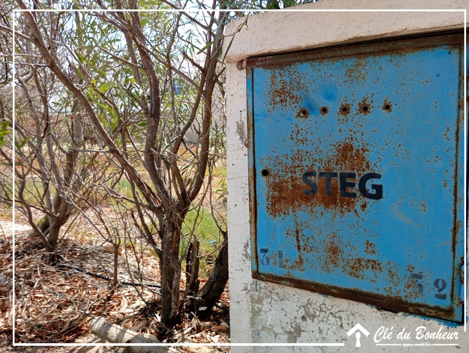 Terrain&nbsp;Terrain nu