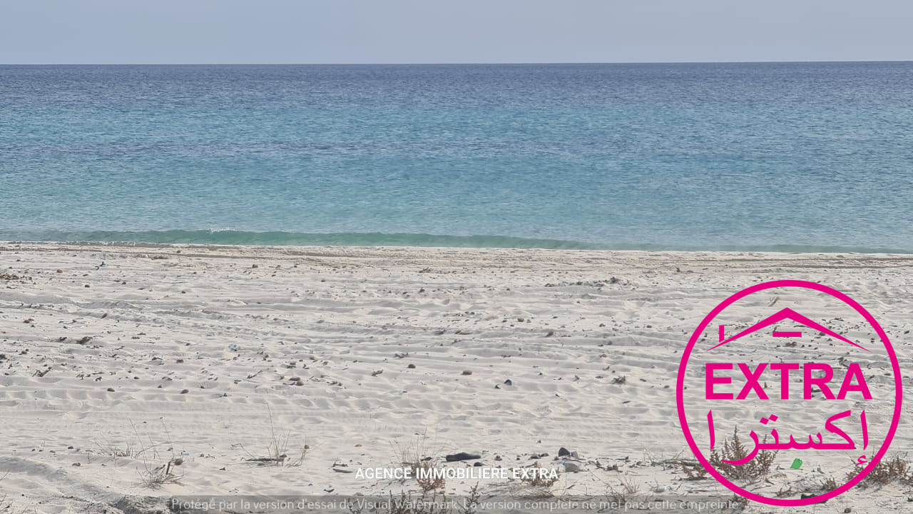 Terrain&nbsp;Terrain nu