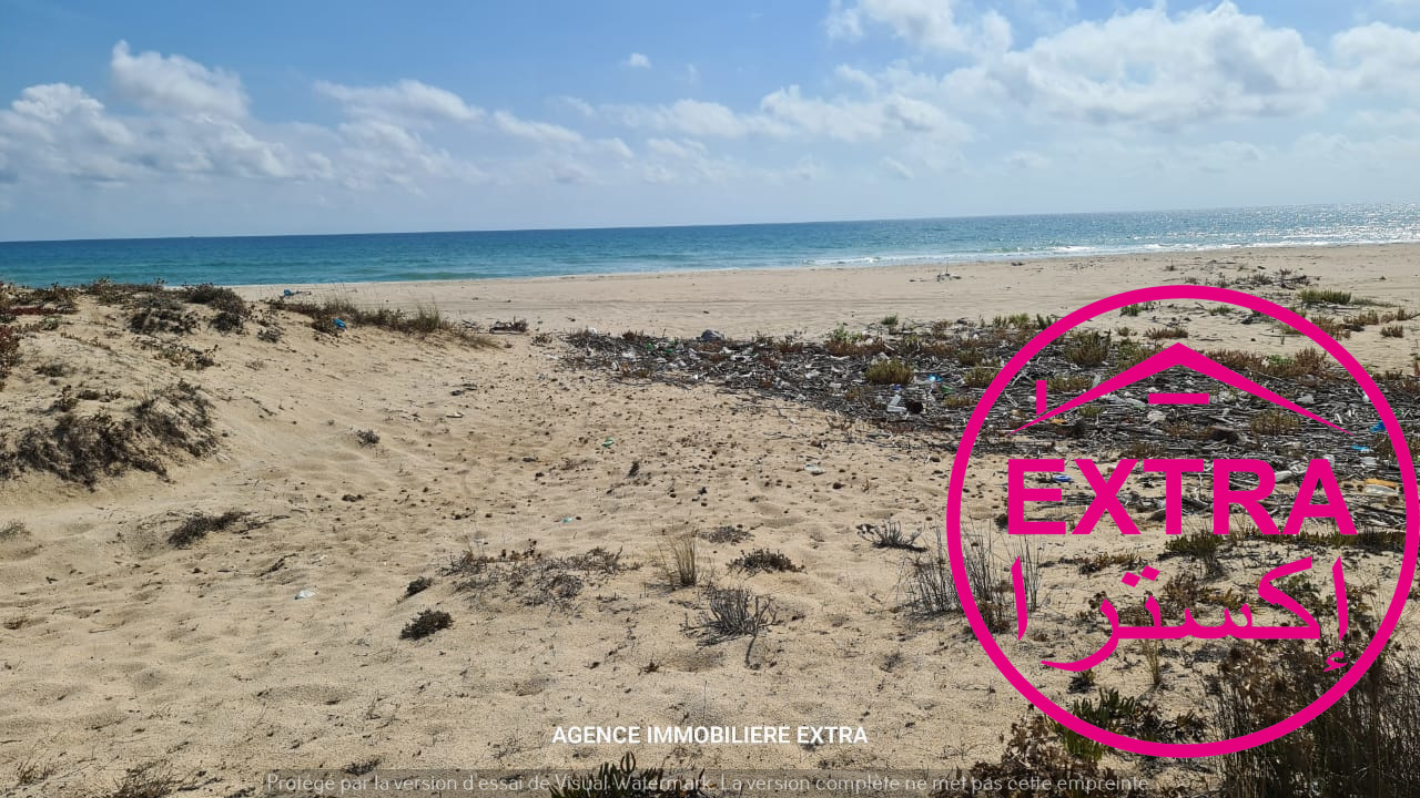 Terrain&nbsp;Terrain nu