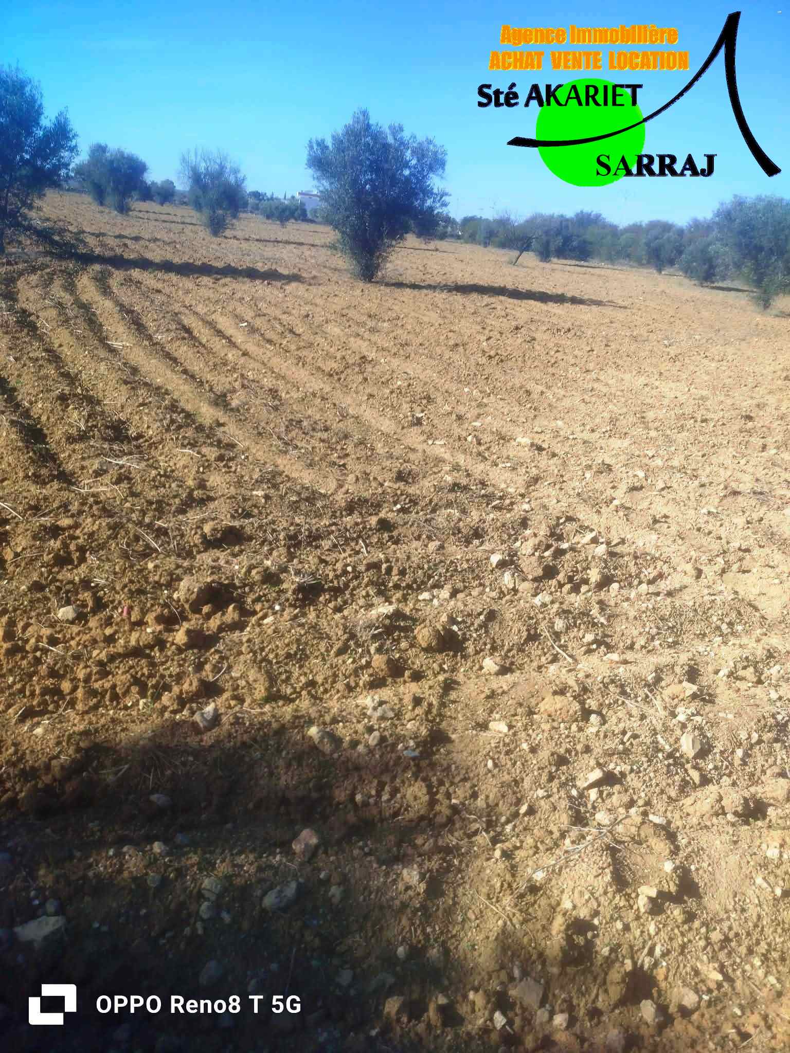 Kalaa El Kebira&nbsp;Kalaa El Kebira&nbsp;Terrain&nbsp;Terrain agricole&nbsp;Terrain 28615m � kalaa kebira vers kondar