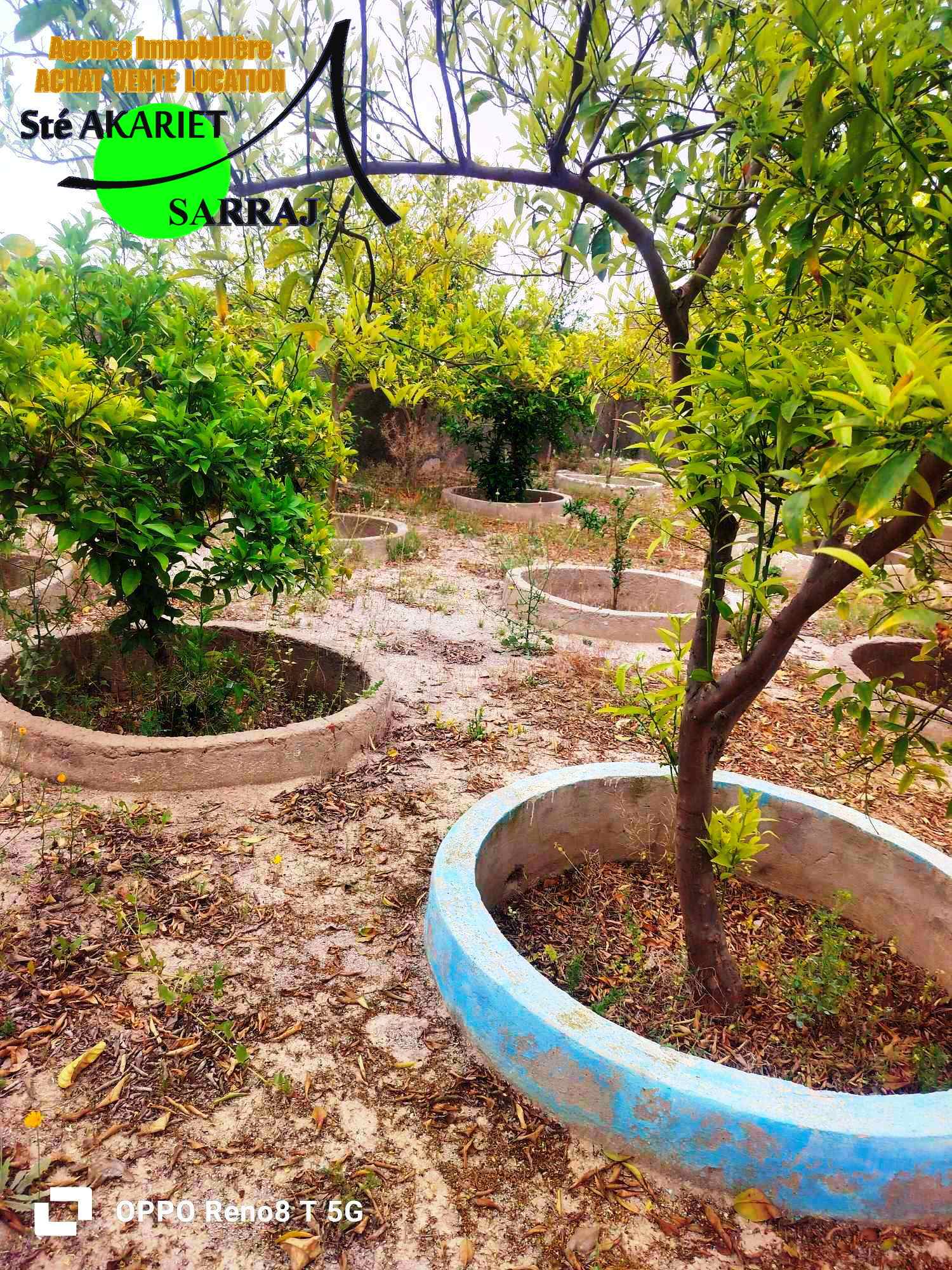 Terrain&nbsp;Terrain agricole