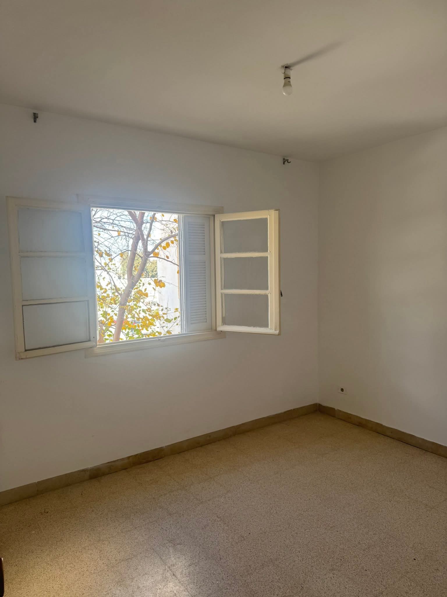 Location&nbsp;Appart. 3 pi�ces