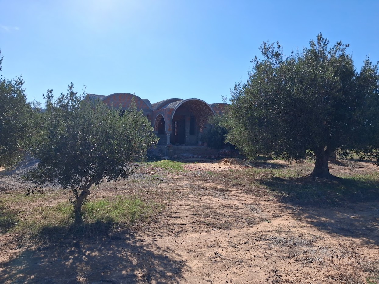 Bou Ficha&nbsp;Sidi Khelifa&nbsp;Vente&nbsp;Surfaces&nbsp;Terrain constructible