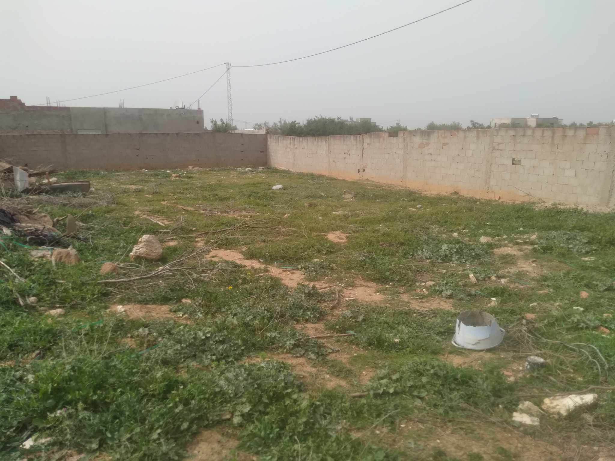 Terrain&nbsp;Terrain nu