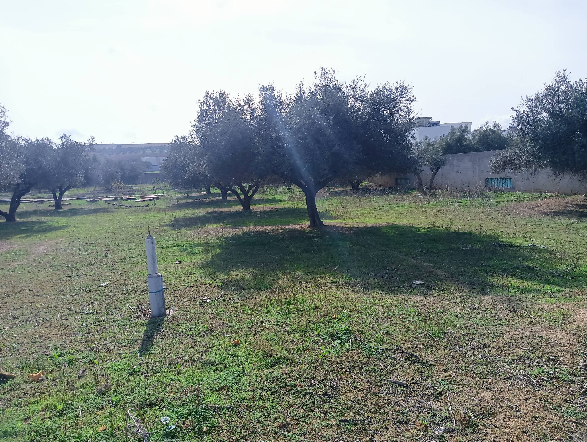 Terrain&nbsp;Terrain nu