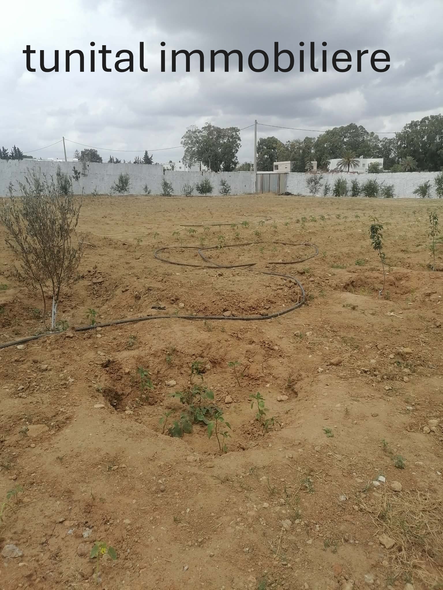 Terrain&nbsp;Terrain nu