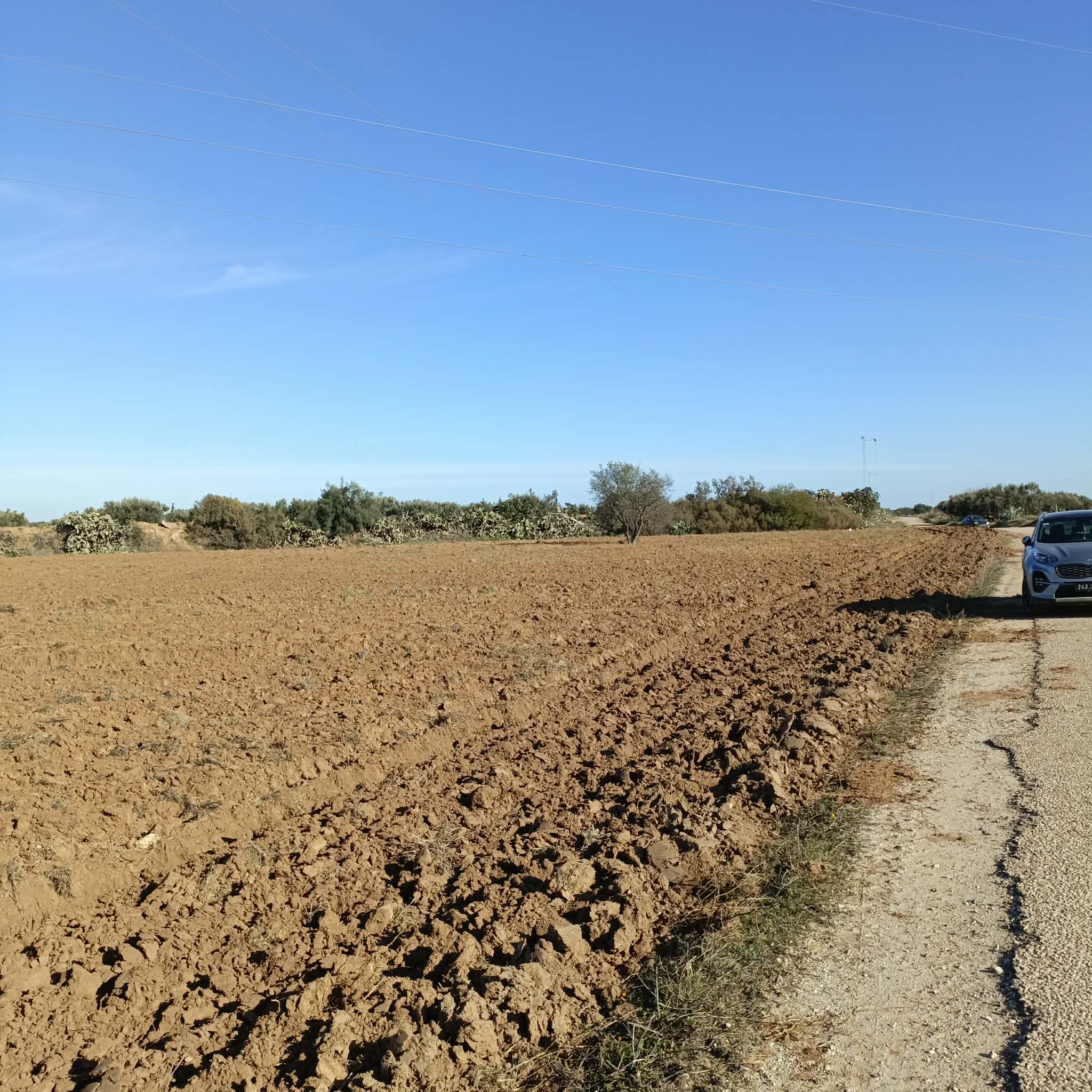 Hammamet&nbsp;Hammamet&nbsp;Terrain&nbsp;Terrain nu&nbsp;Av terrain 10500m sur la route � bouficha