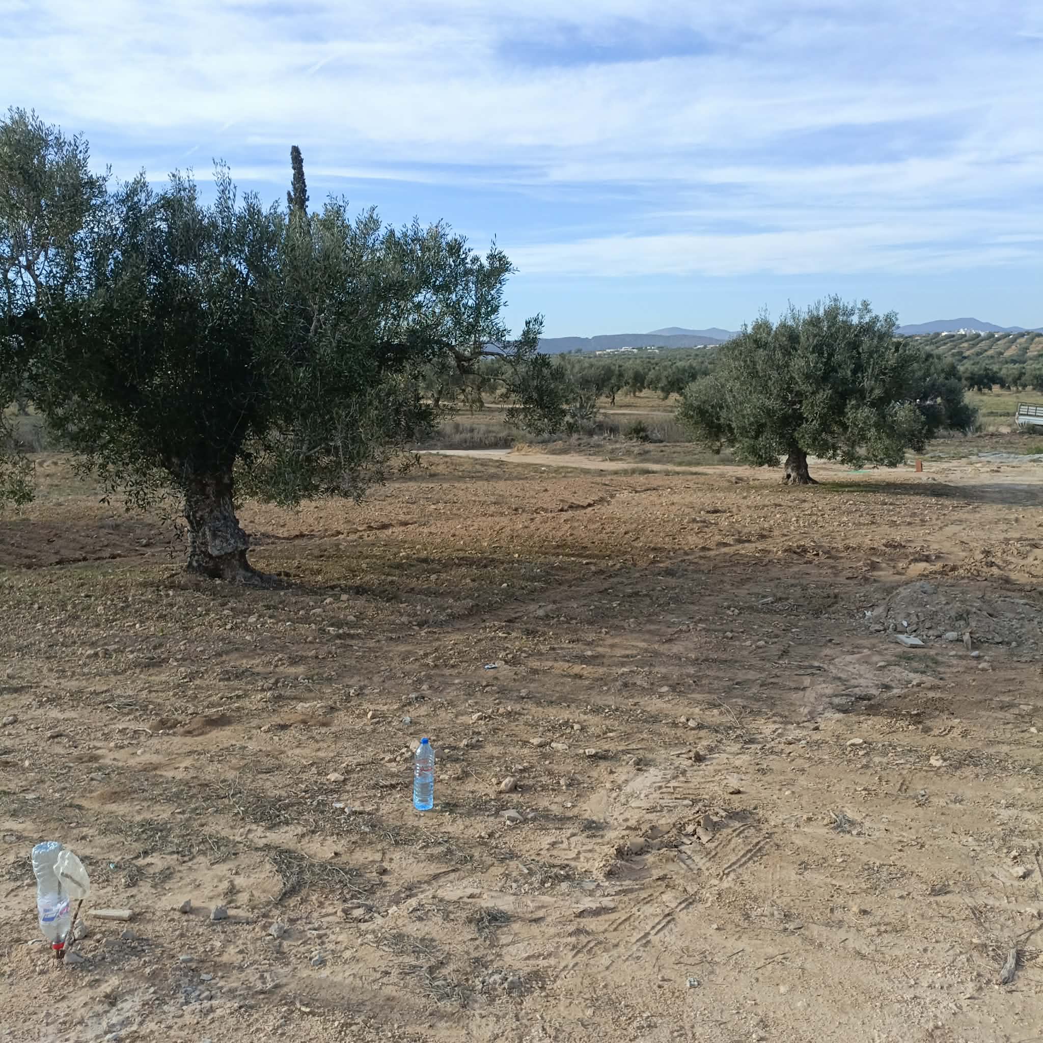 Terrain&nbsp;Terrain nu