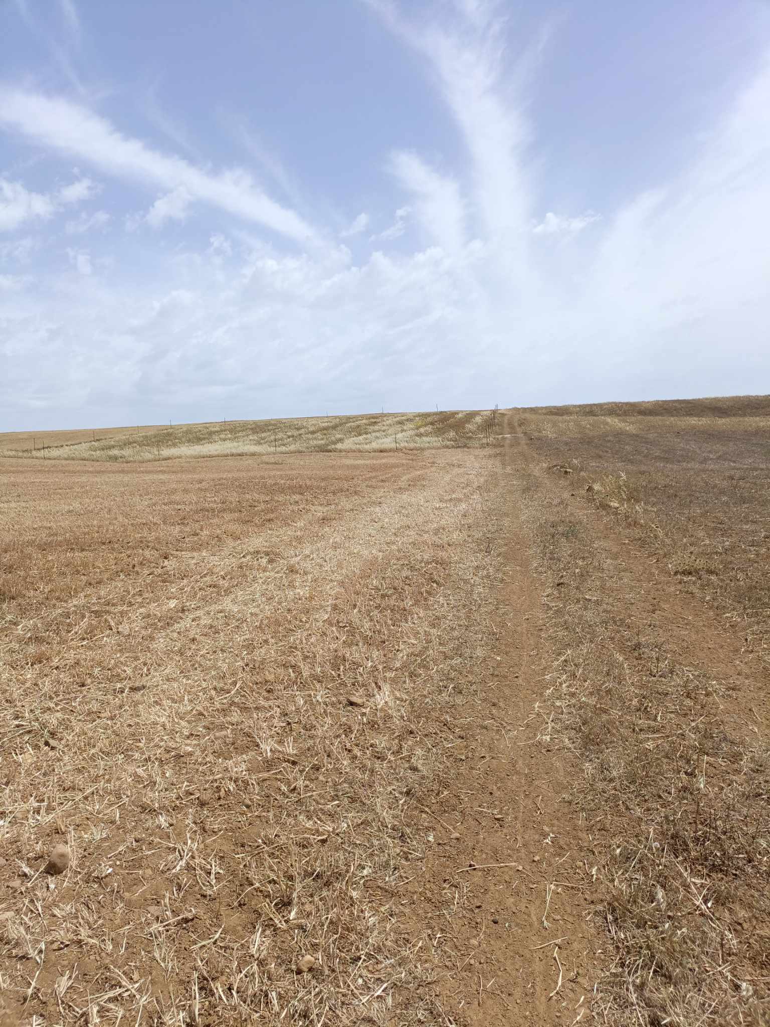 Terrain&nbsp;Terrain nu