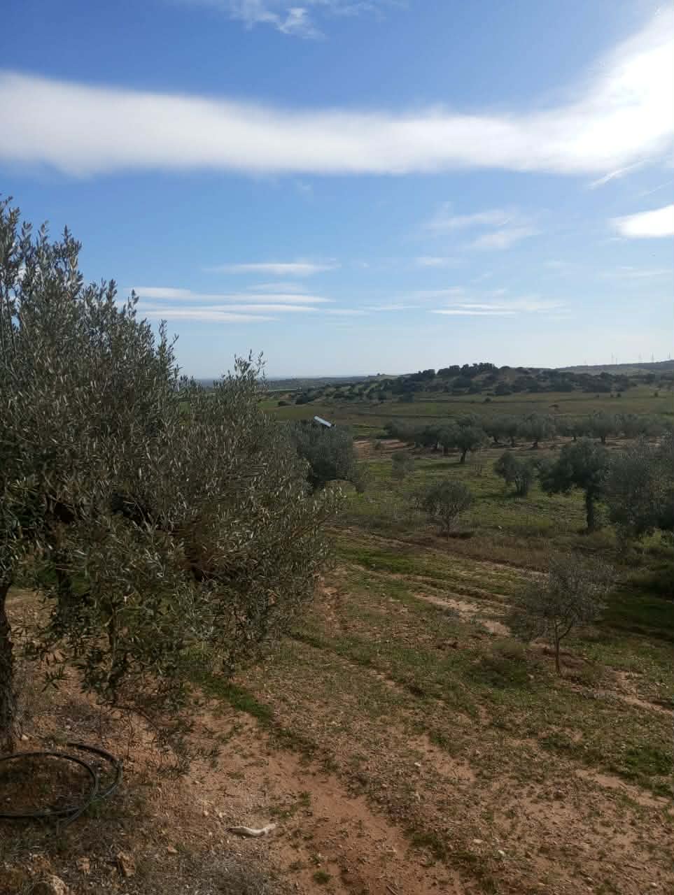 Terrain&nbsp;Terrain agricole