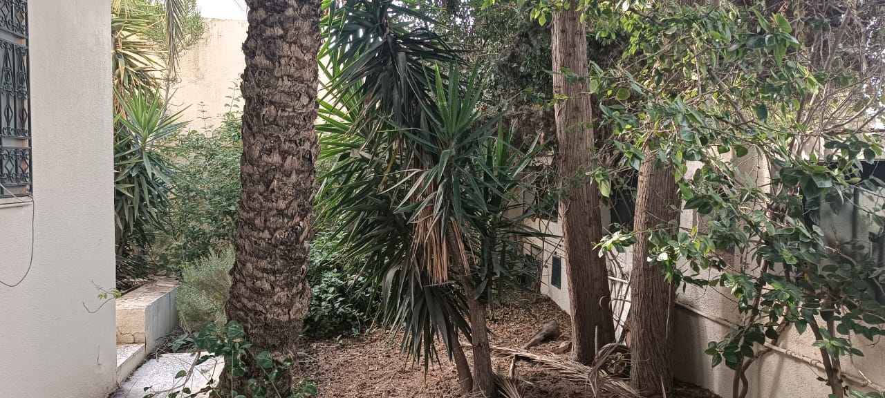 Ariana Ville&nbsp;El Menzah 5&nbsp;Vente&nbsp;Maisons&nbsp;Villa d'angle au menzah 5