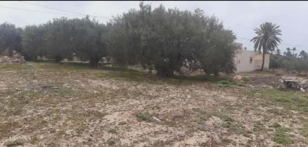 Terrain&nbsp;Terrain nu