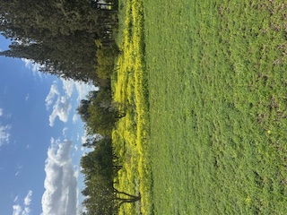 Terrain&nbsp;Terrain agricole