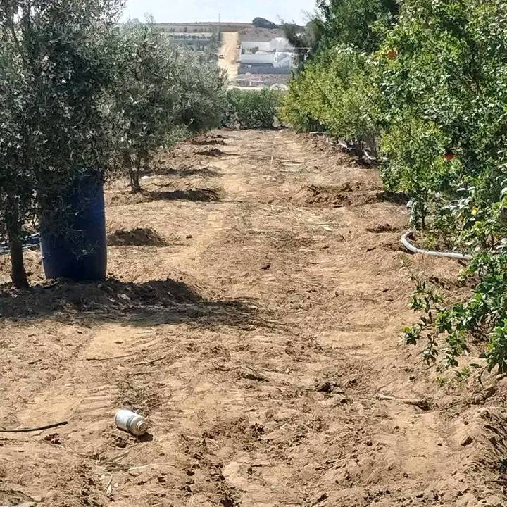 Terrain&nbsp;Terrain agricole