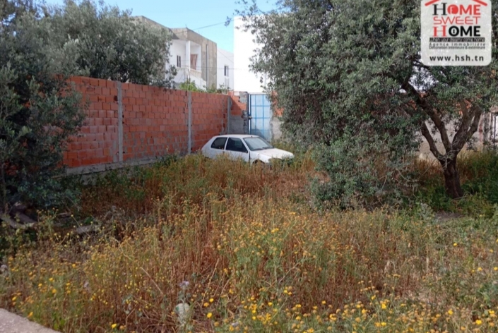 Terrain&nbsp;Terrain nu