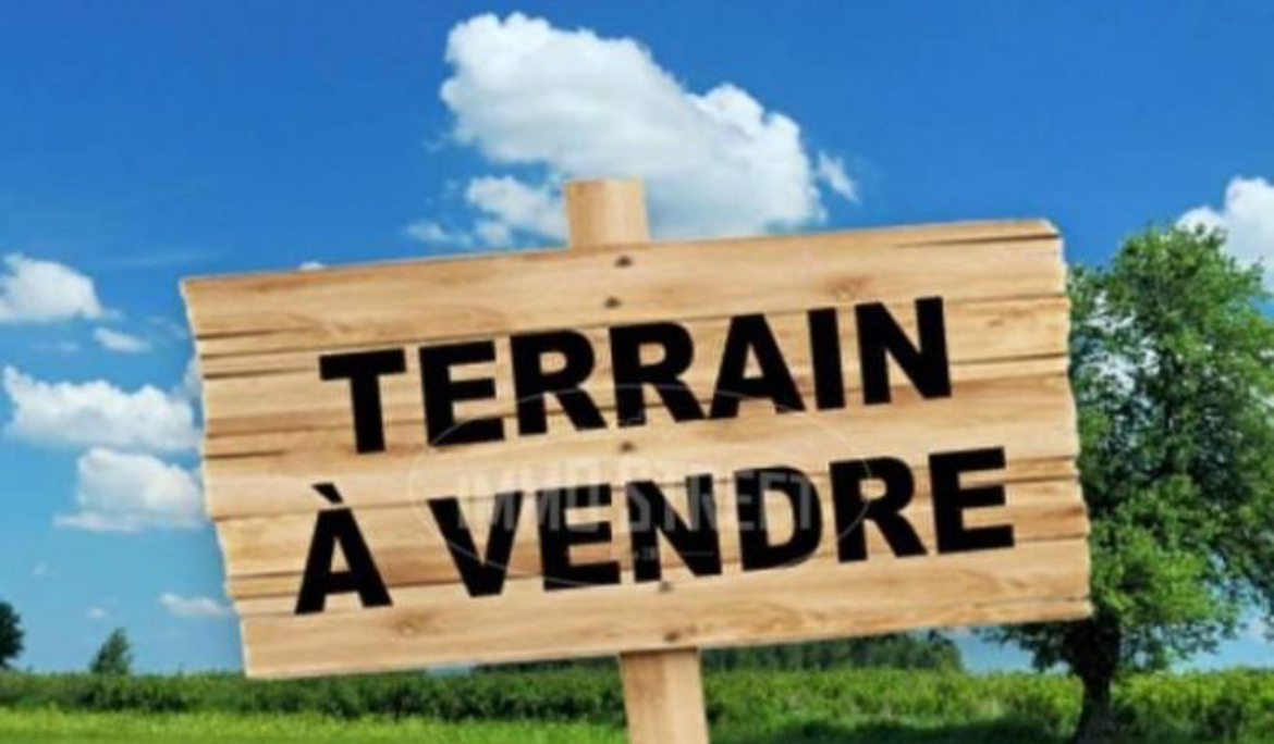 Terrain&nbsp;Terrain nu