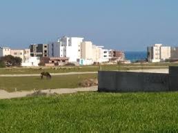 Terrain&nbsp;Terrain nu