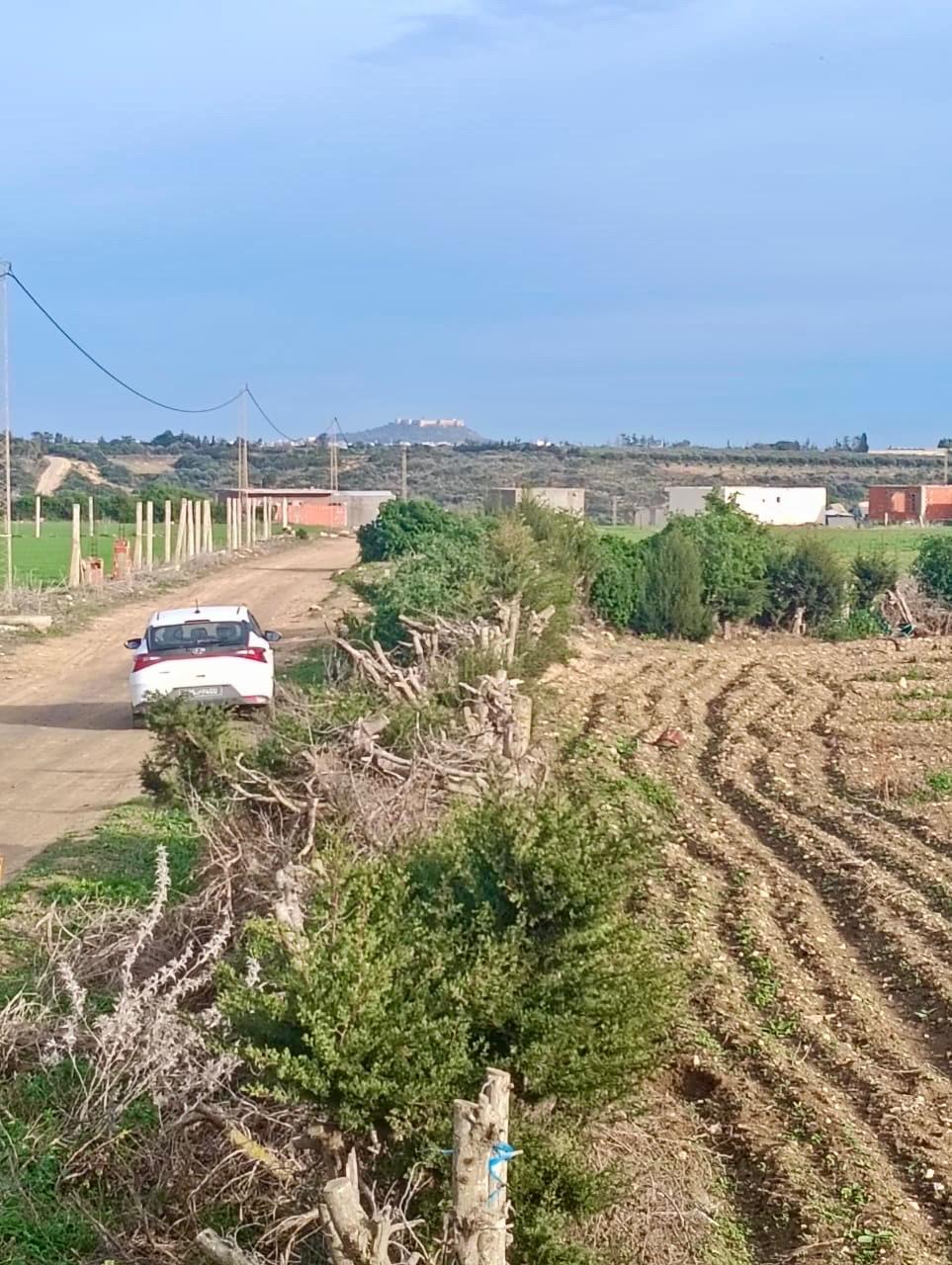 Kelibia&nbsp;Kelibia&nbsp;Terrain&nbsp;Terrain nu&nbsp;Belle terraain � kelibia