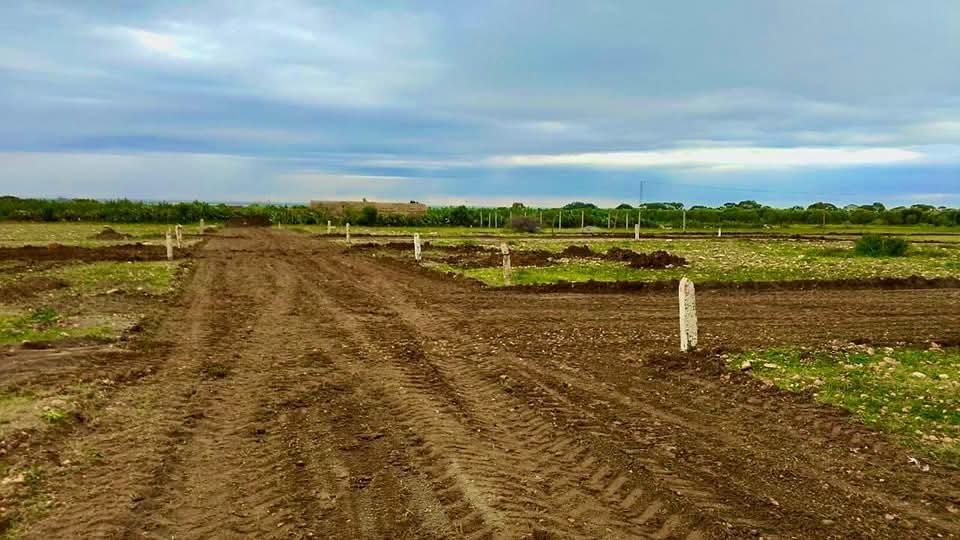 Terrain&nbsp;Terrain agricole