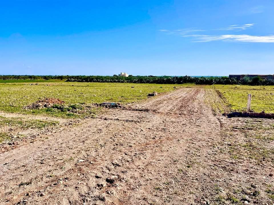 Bou Ficha&nbsp;Bou Ficha&nbsp;Terrain&nbsp;Terrain agricole&nbsp;Terrain  a prix  raissonnable