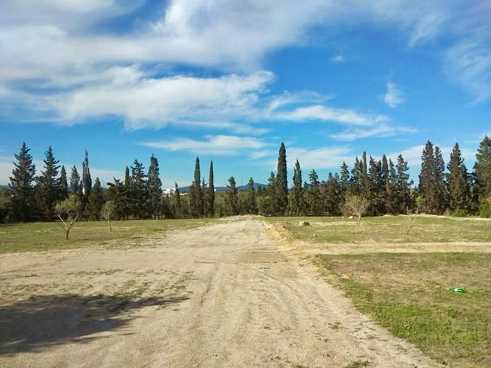 Hammamet&nbsp;Hammamet&nbsp;Terrain&nbsp;Terrain nu&nbsp;Terrain a prix wow