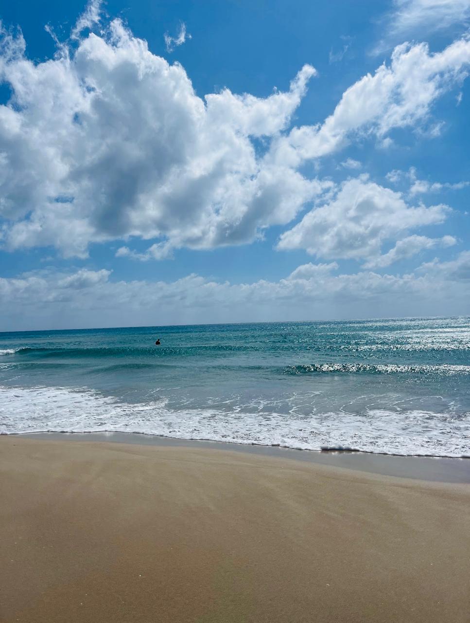 El Haouaria&nbsp;El Haouaria&nbsp;Terrain&nbsp;Terrain nu&nbsp;Elhaouaria des terrains disponible