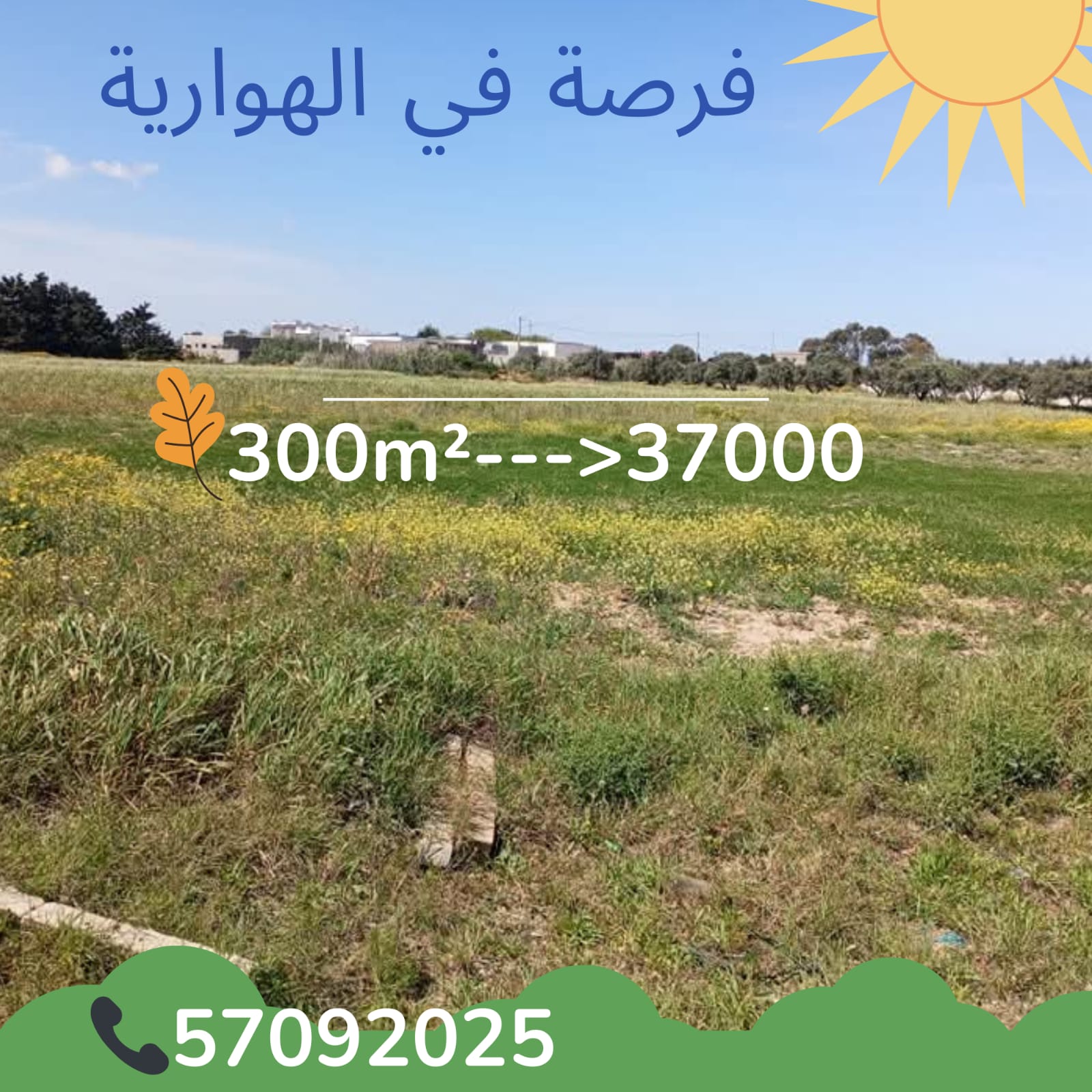 Terrain&nbsp;Terrain nu