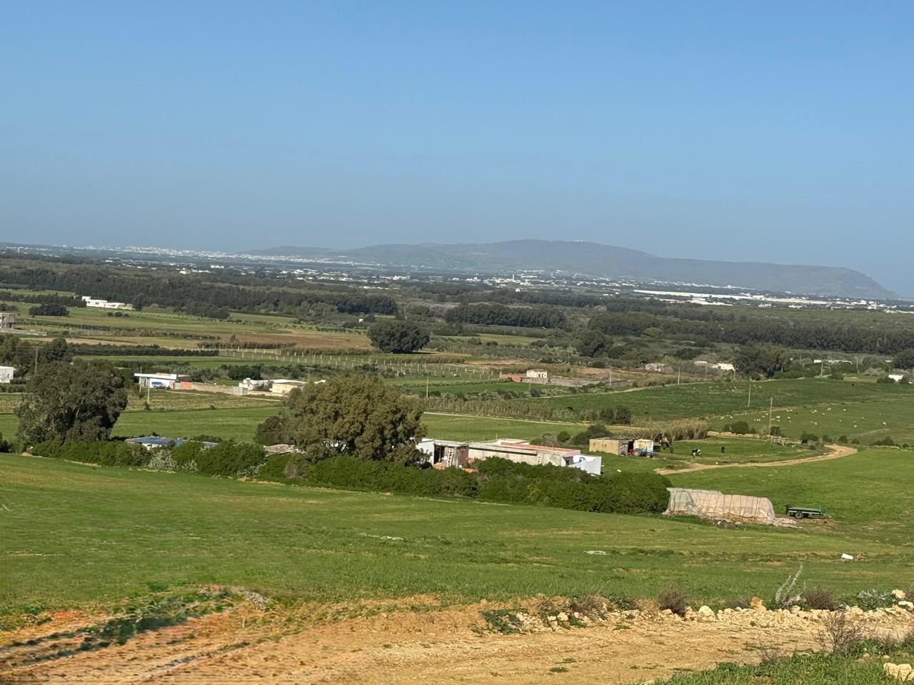 Kelibia&nbsp;Kelibia&nbsp;Terrain&nbsp;Terrain agricole&nbsp;Terrain � l'entr�e de k�libia