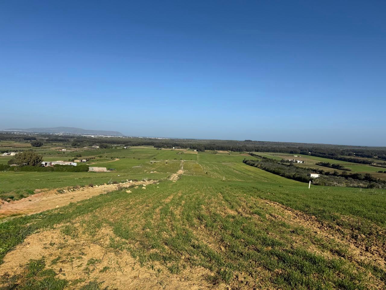 Kelibia&nbsp;Kelibia&nbsp;Terrain&nbsp;Terrain agricole&nbsp;Titre foncier individuel