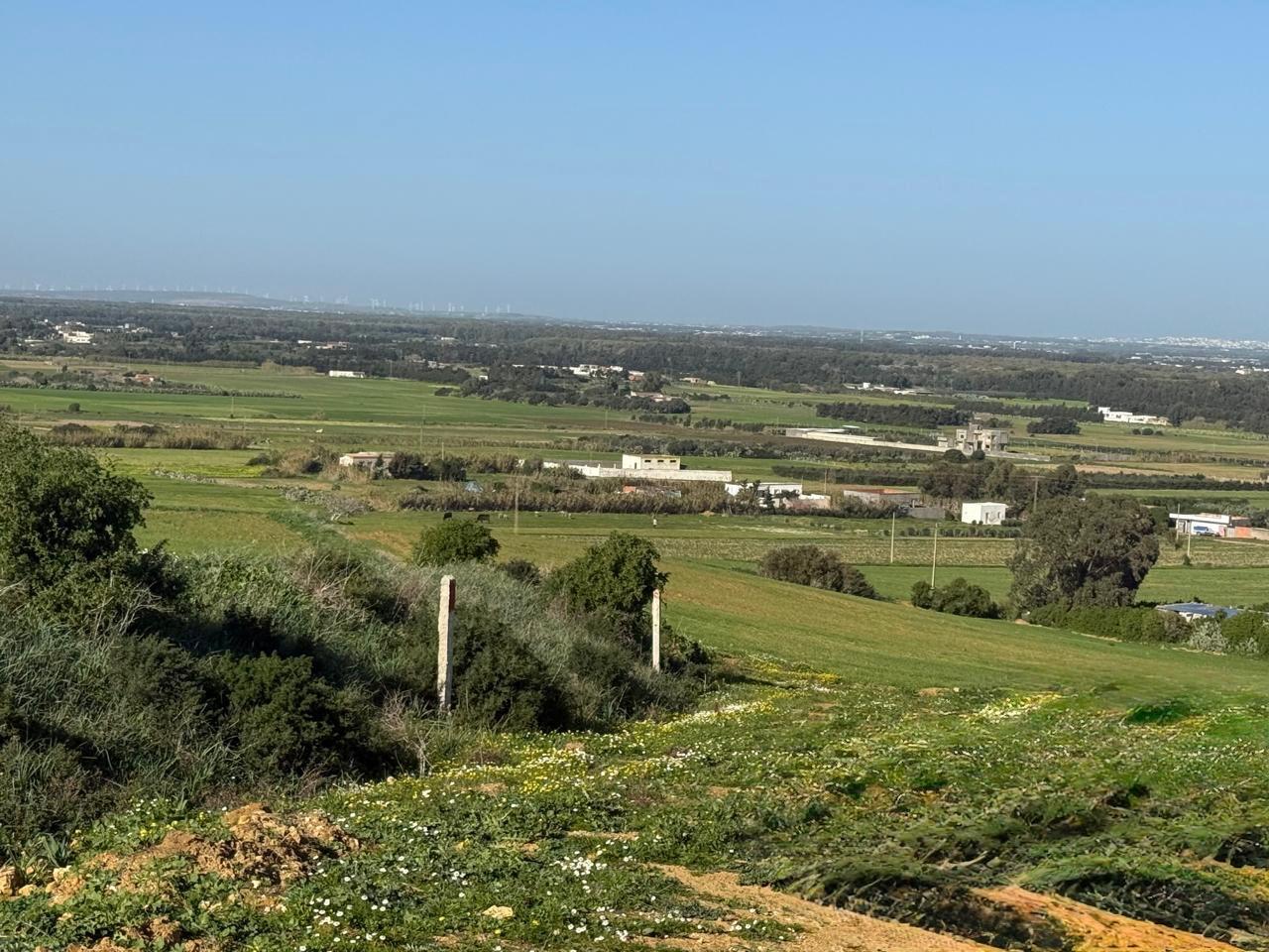 Terrain&nbsp;Terrain agricole