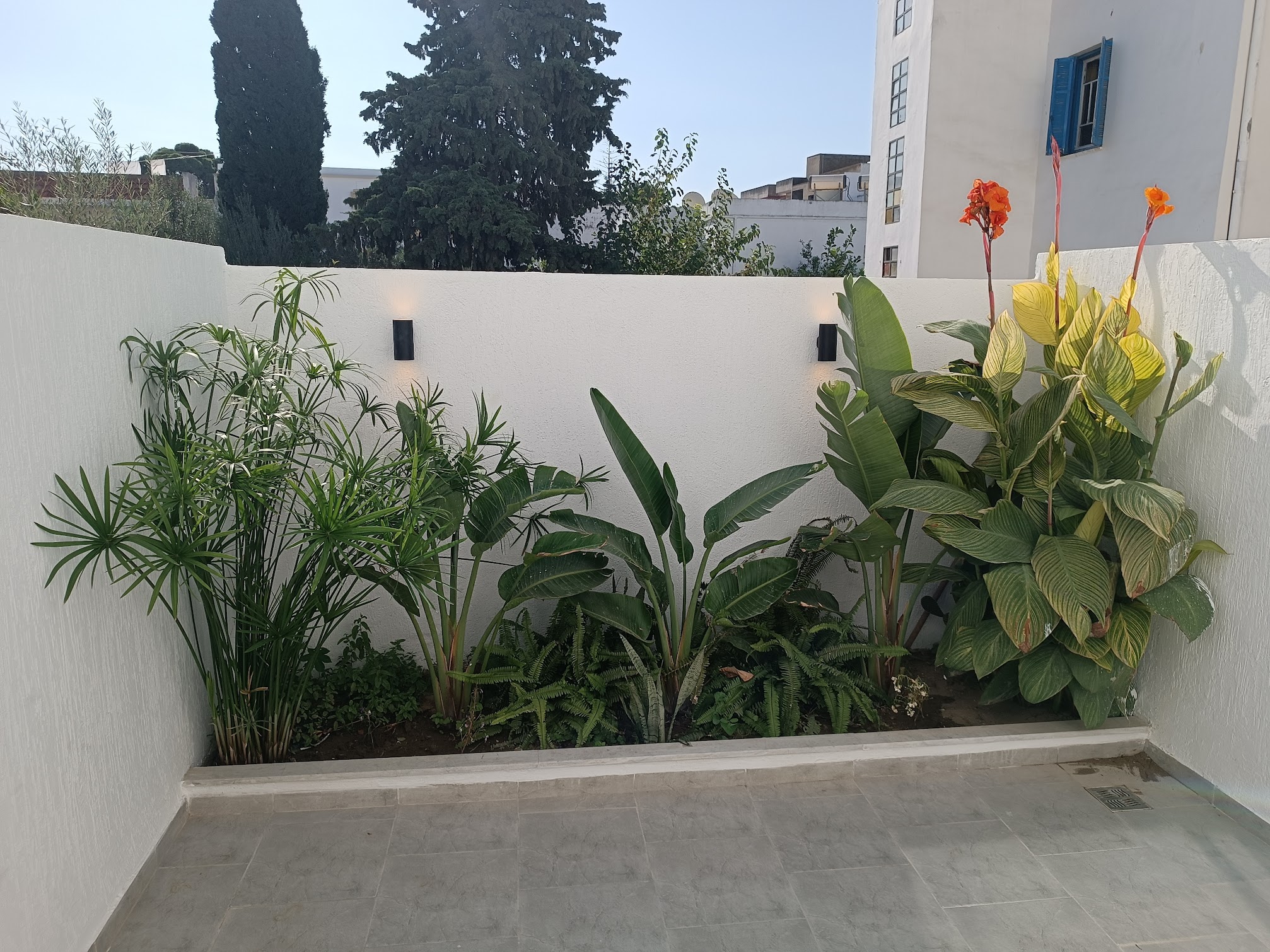 Location&nbsp;Appart. 1 pi�ce