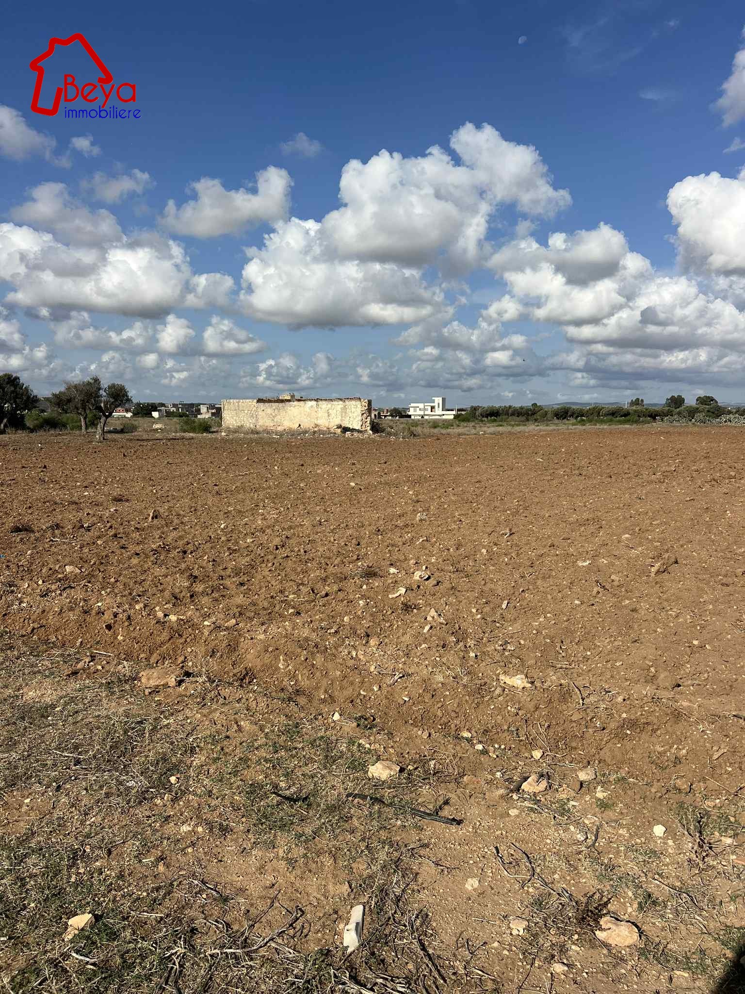 Terrain&nbsp;Terrain nu