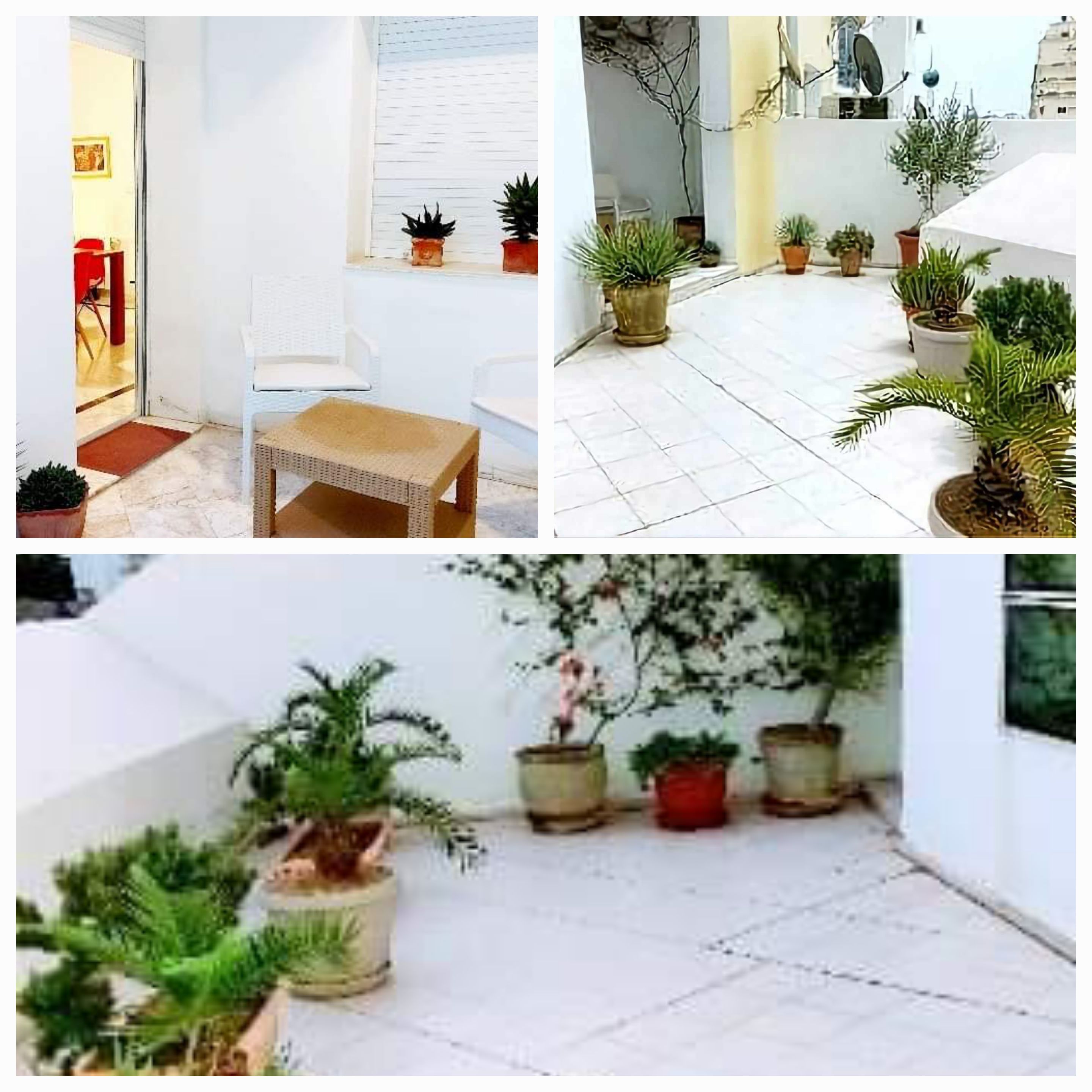 Location&nbsp;Appart. 3 pi�ces