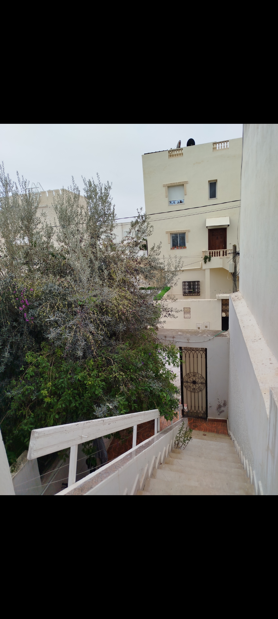 La Marsa&nbsp;Cite Des Mimosas&nbsp;Location&nbsp;Appart. 2 pi�ces&nbsp;Appartement s plus 1