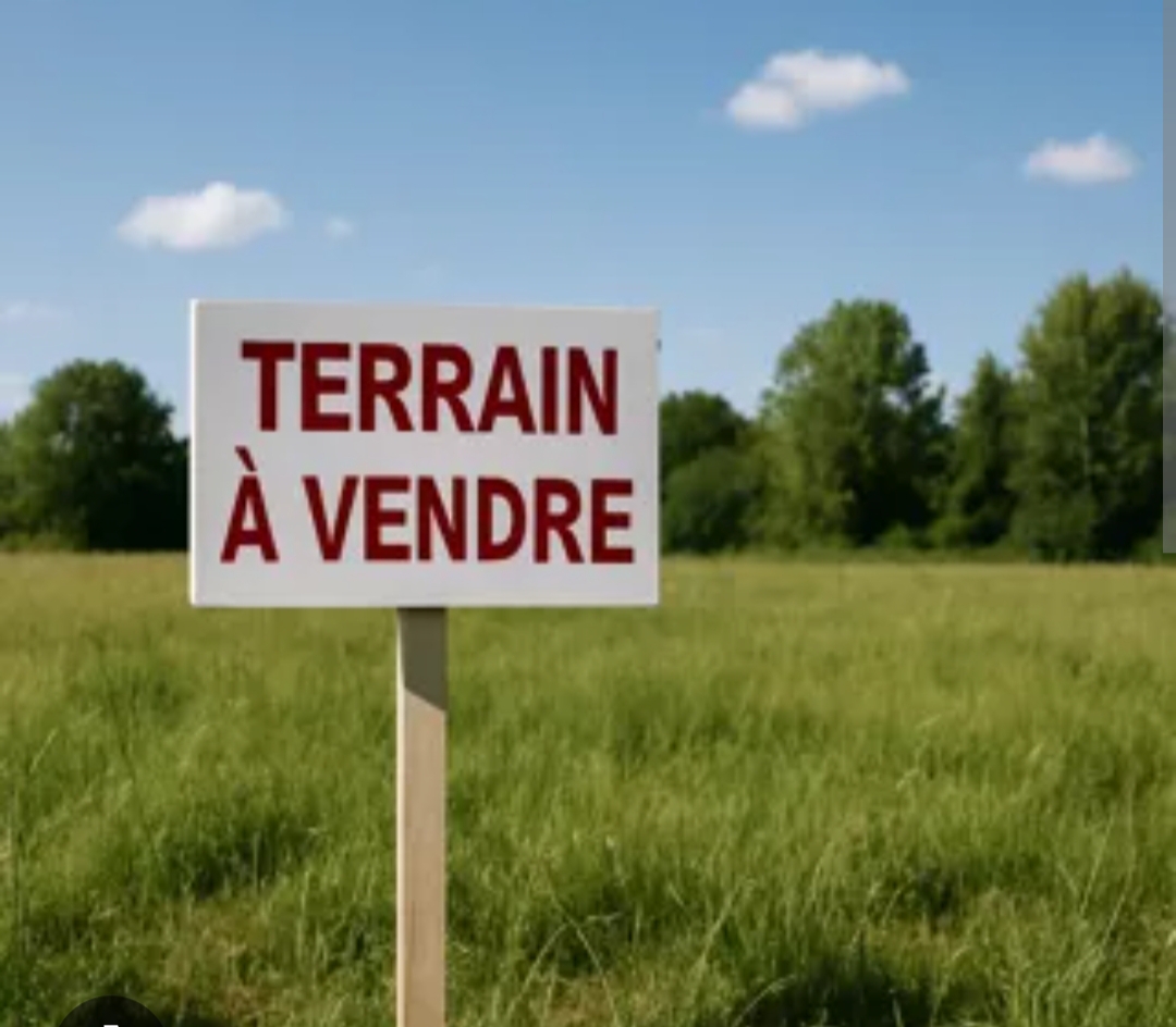 Terrain&nbsp;Terrain nu