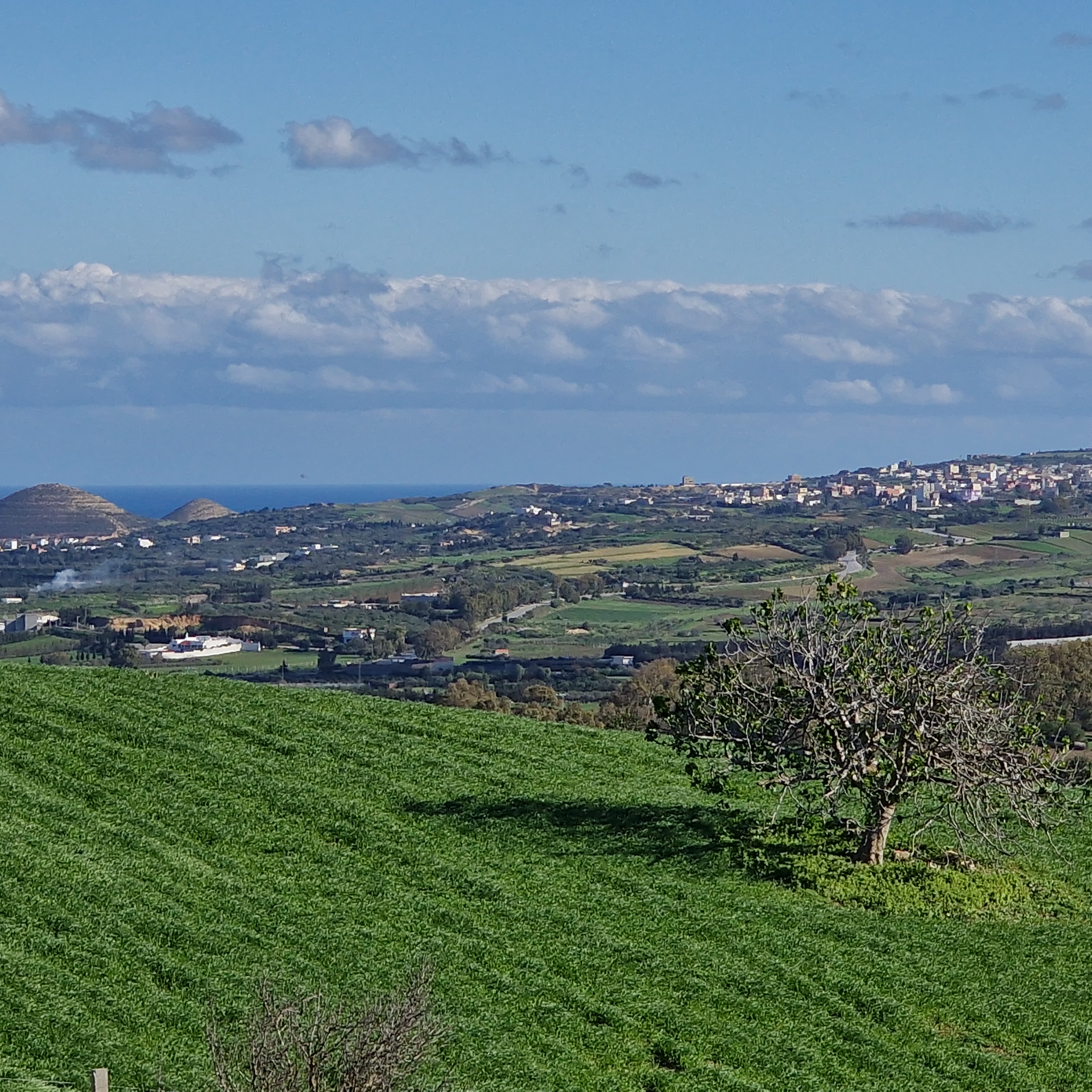 Terrain&nbsp;Terrain agricole