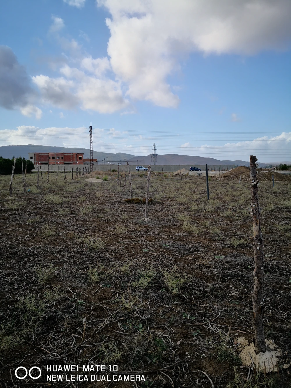 Terrain&nbsp;Terrain nu