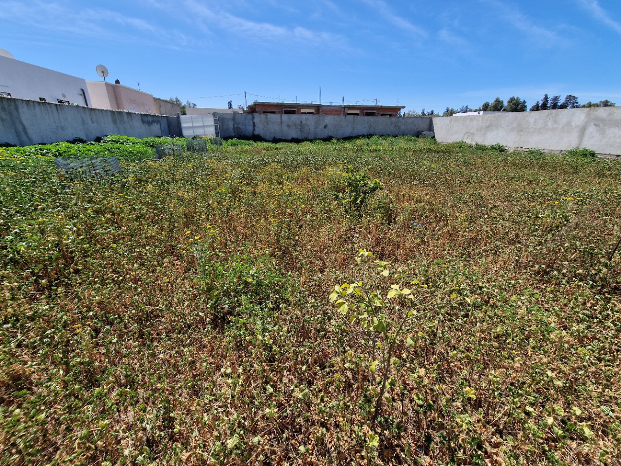 La Marsa&nbsp;Cite Bhar Lazreg&nbsp;Terrain&nbsp;Terrain nu&nbsp;Terrain titre individuel 793 m2 cl�tur�