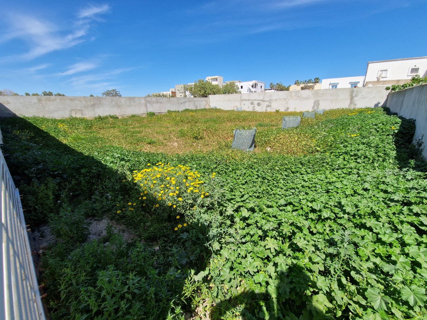 Terrain&nbsp;Terrain nu