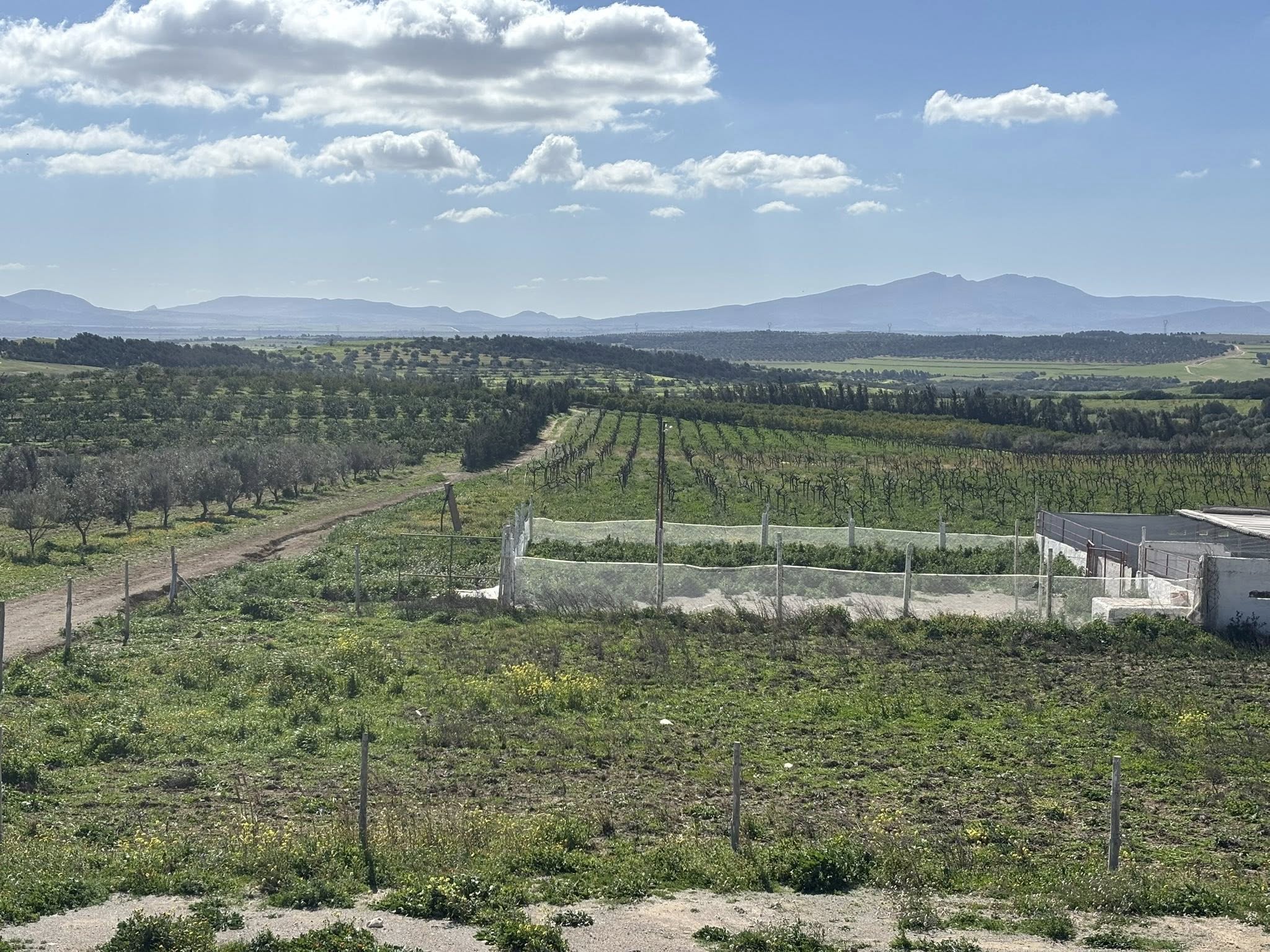 Terrain&nbsp;Terrain agricole