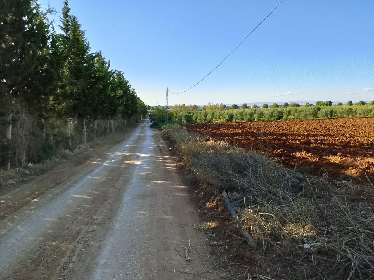 Sidi Thabet&nbsp;Sidi Thabet&nbsp;Terrain&nbsp;Terrain agricole&nbsp;Lots de terrain de 1000 m situ�s � sidi thabet