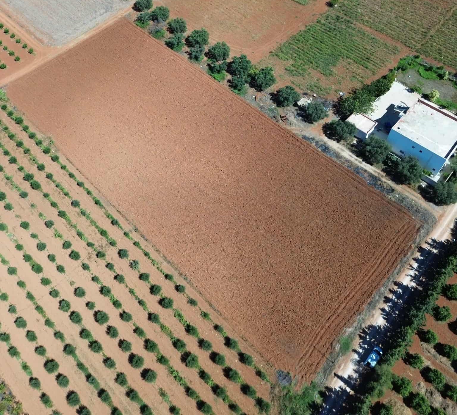 Sidi Thabet&nbsp;Sidi Thabet&nbsp;Terrain&nbsp;Terrain agricole&nbsp;Lots de terrain de 1000 m situ�s � sidi thabet